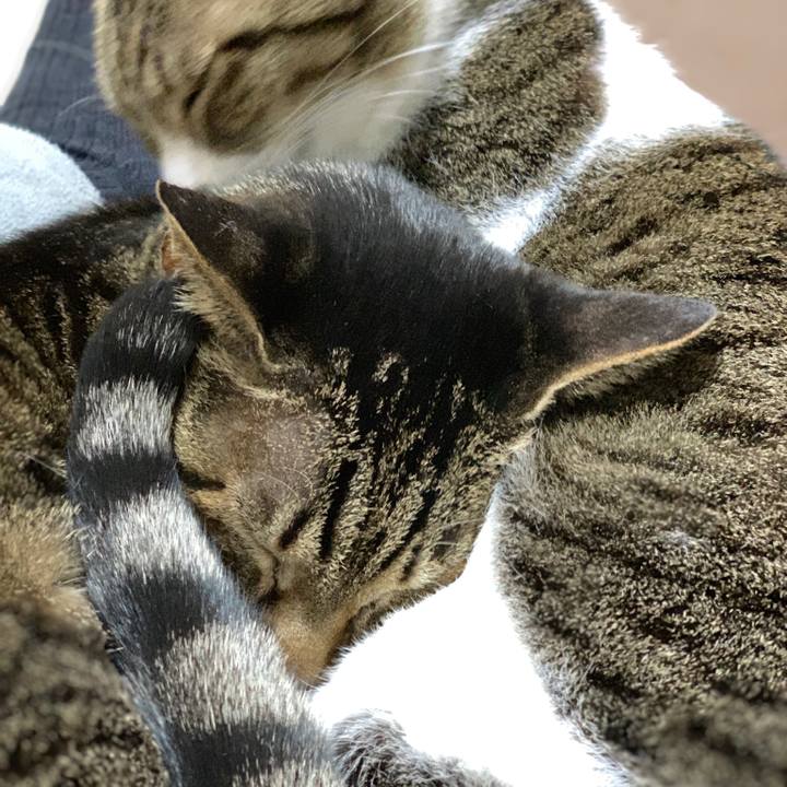 9050c1df 62c2 4c3e bfa4 aafb522d5020 1546731821829