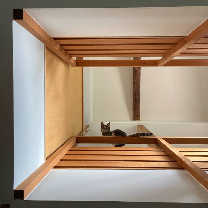 9050d169 8410 470b afd5 cefce832a416 1712964136867