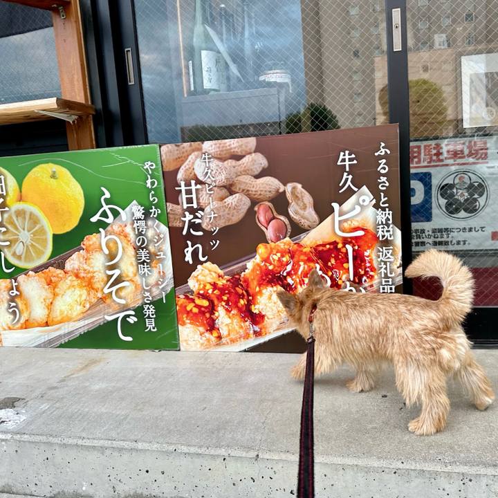 9050fb6d 7540 4013 b0ac aecd3b01fa37 1722412393311