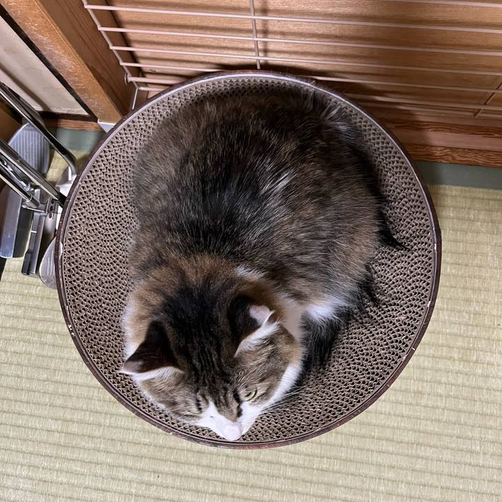 90516d4d 124f 43ad 8c24 b881b32c9e7d 1759299765946