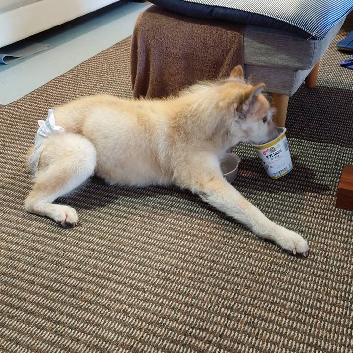 90518d7c 2a8b 4f86 8944 69d75bf568df 1651018831976