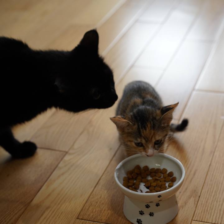 90519647 0980 4be8 b62d ae86803576ab 1567382601861