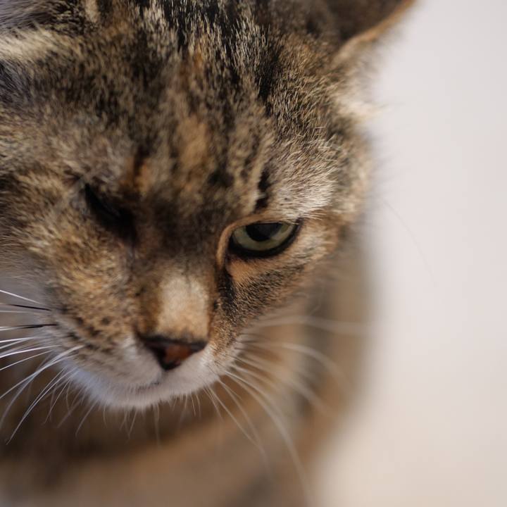 90519b42 8ed3 4784 97b8 628031cff0fa 1742570493058