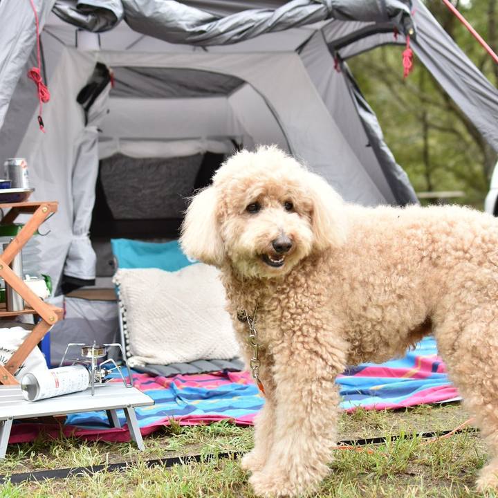 90519dd4 d49c 49e3 a1c1 f4244e12fbb1 1537687539199