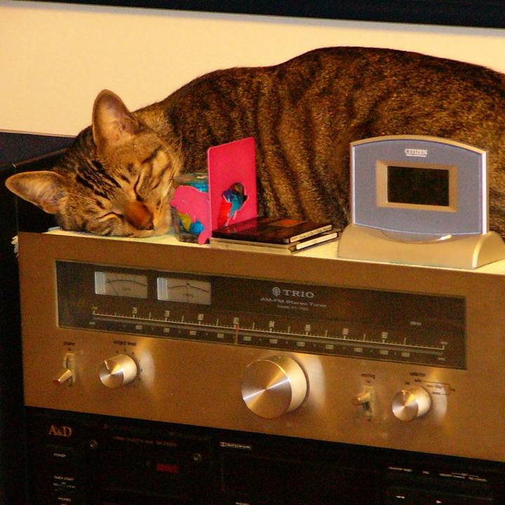 9051bdaa dacd 4a3b bc97 80aa0071dd06 1642509658489