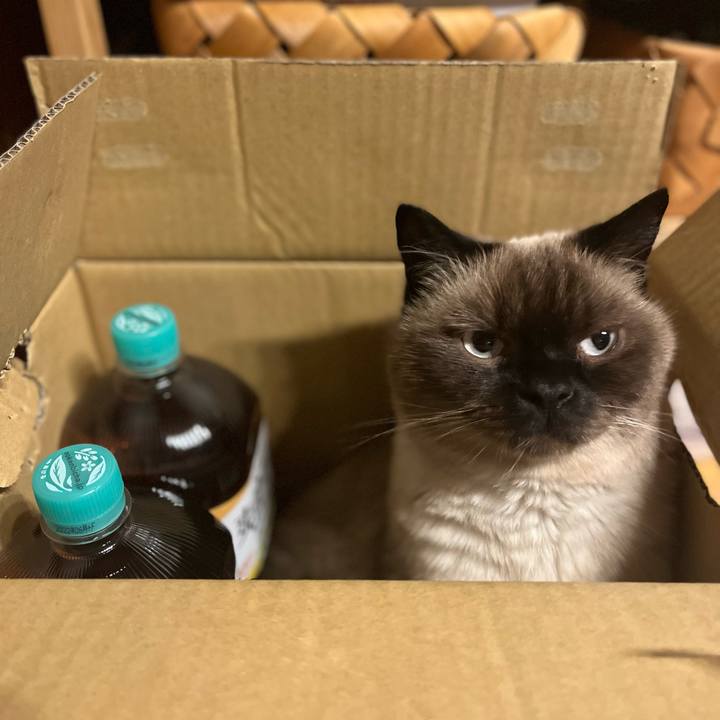 9051c3af aa1d 40d7 9cbb bfe567237477 1634349893397