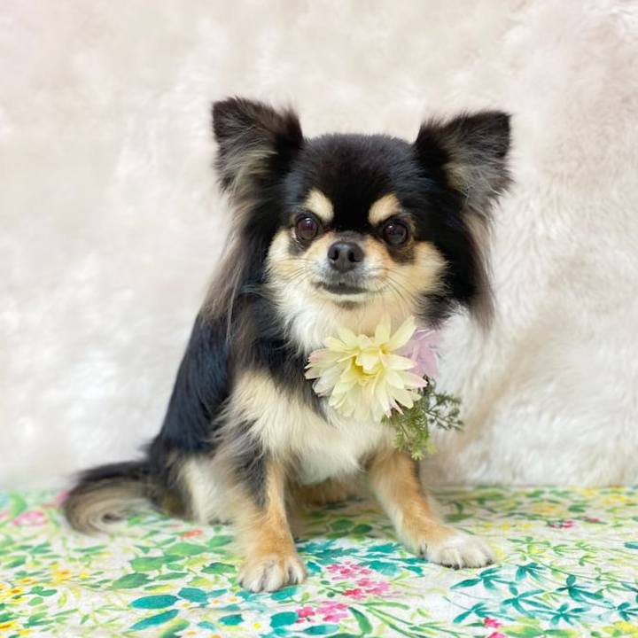 9051f261 dc1b 4b2a b273 b46b2fb73ad1 1618952029235