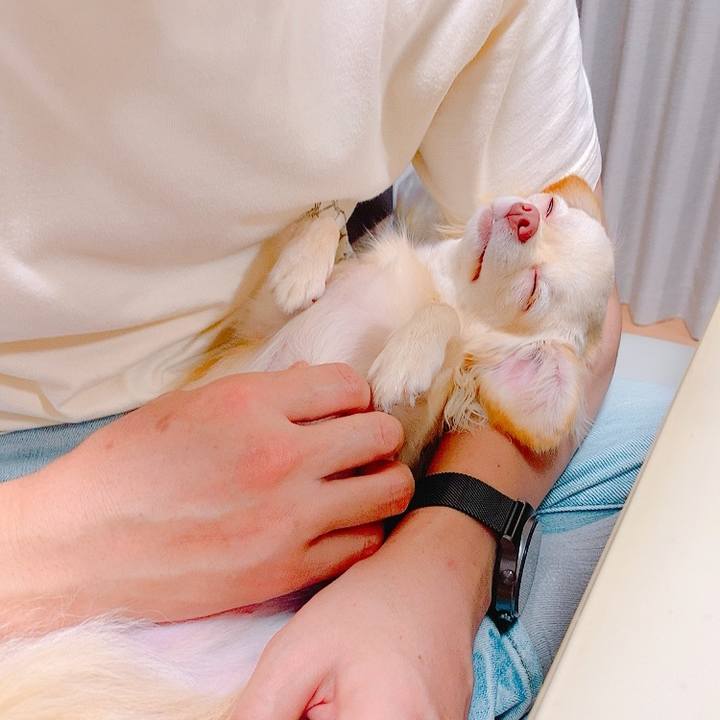 90520277 b54e 4896 9f5f 7a565f59c1dc 1626613500676