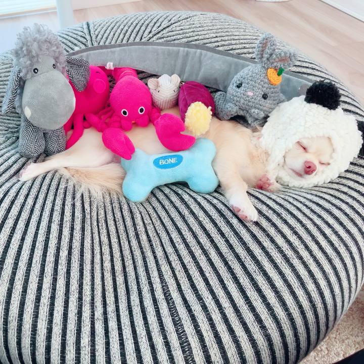 9052bd7a a559 4cc5 a773 3f87d8eac01b 1692860919636