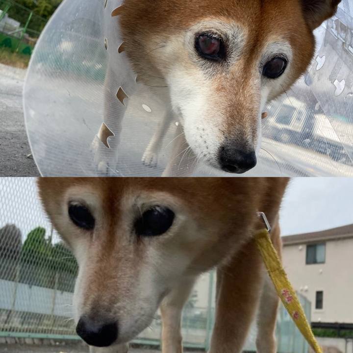 9052ed05 7923 4ec0 a019 776e54f14231 1667808051872