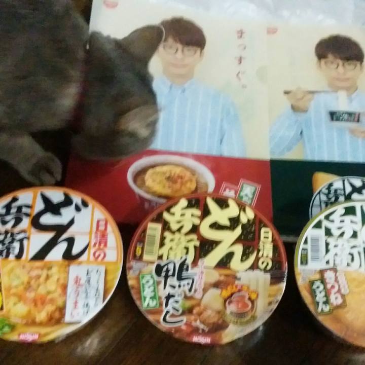 90531c5f 05c7 43c9 89ae 528c710d9443 1530606693373