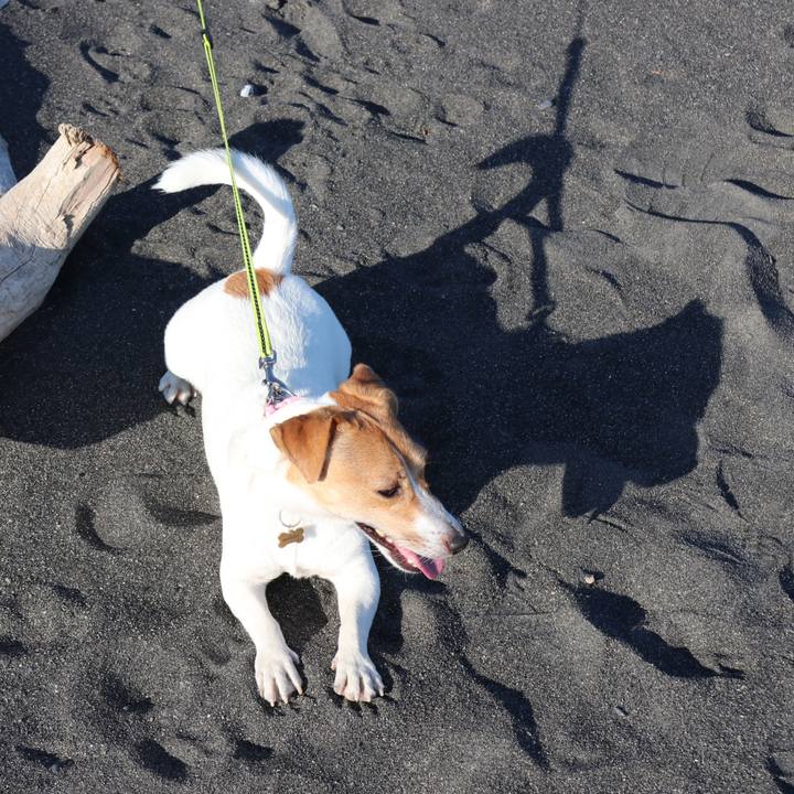 90532603 ff9d 4e15 8c7a 1e4c2c82bea2 1542435854143