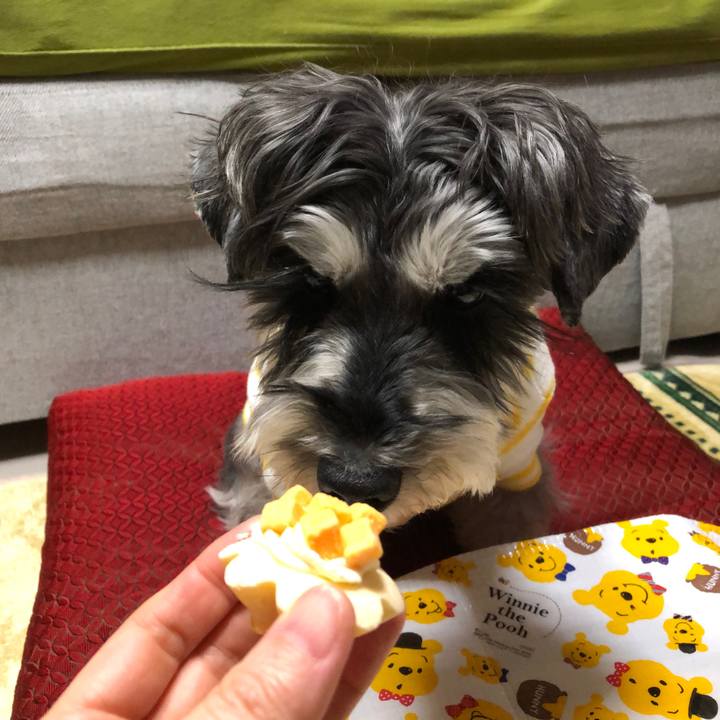 90532d5c c553 4e1d a49c e58d848b34e9 1641389706990