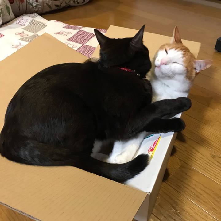 905382f0 68ac 4e74 aaa4 d738b3128e22 1588772939119