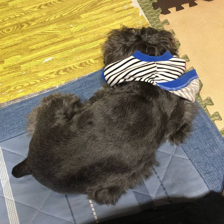 90538ccf 6f38 48fd 9825 a6112e00c339 1697361995935