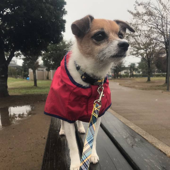 9053af3c 460e 4068 8d5c a476f1ef68af 1540595964187