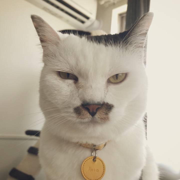 9053c94d f7ad 4b49 a6bc 76c1aefc3e96 1532664633356