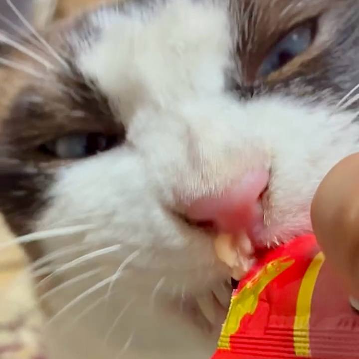 9053da20 f672 401e 8104 544e914c1e35 1753437415059