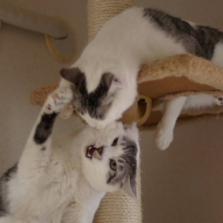 9054156e f969 4e11 a6dd 8bd64ed37eea 1525971382434