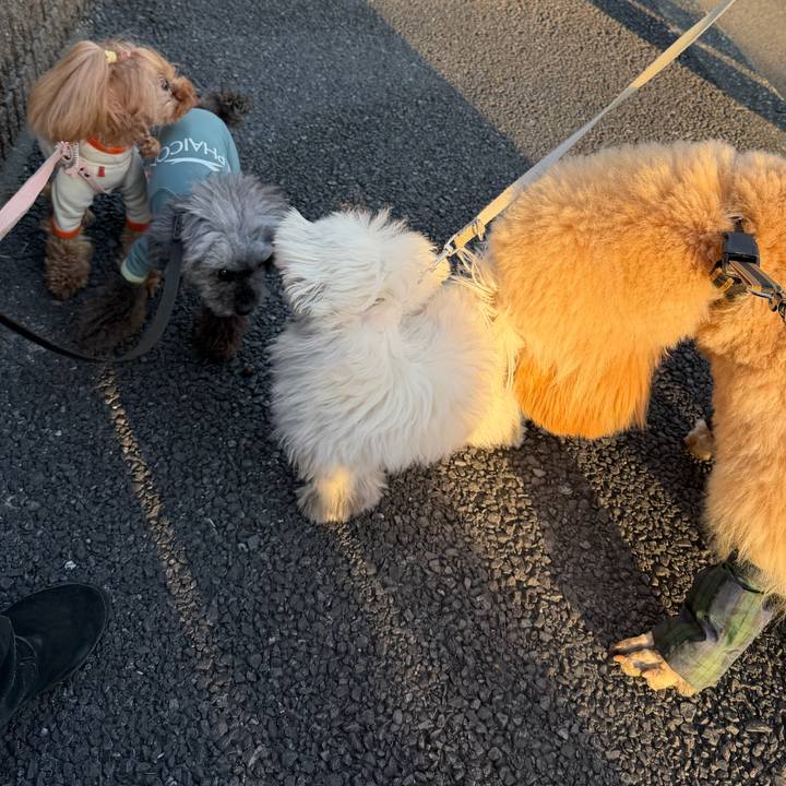 905448b9 1c64 4eb5 bdc2 f8d4fe59cfdd 1771025586312