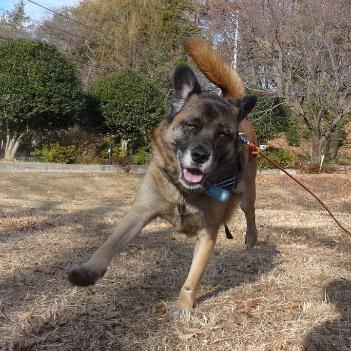 90546a44 e0f1 46f7 989a 6e1b7afbad25 1577579826506