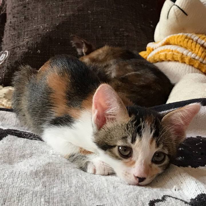 90546fce f541 4ec3 8717 aff818628ba5 1598152320696