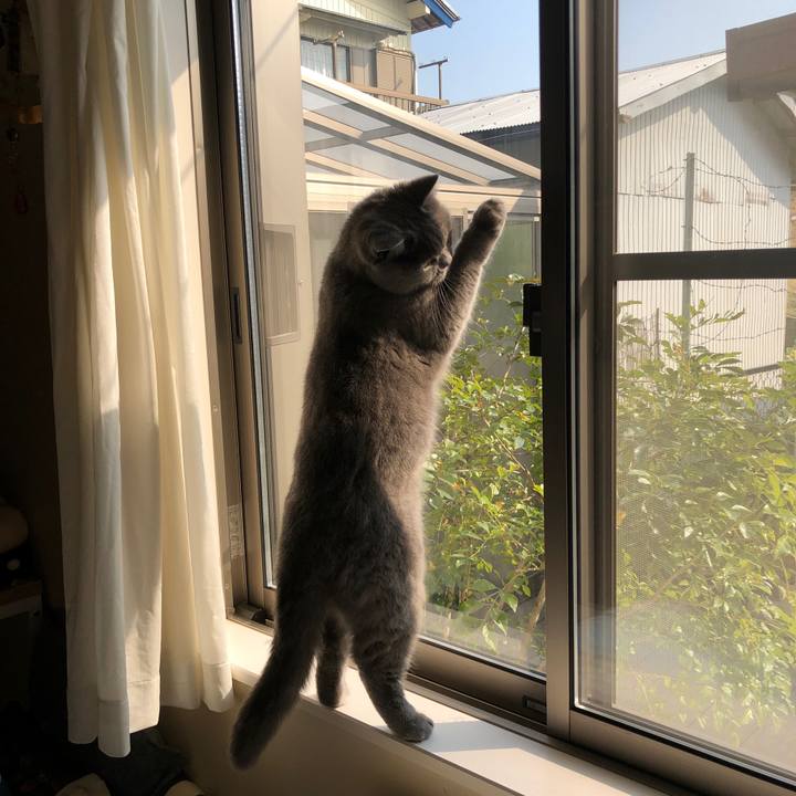 905493eb 9095 4d0c b505 eb680a1203bf 1552350108556