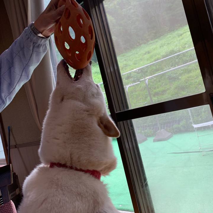 9054c459 757c 4284 9623 226c337a8baa 1568535044922