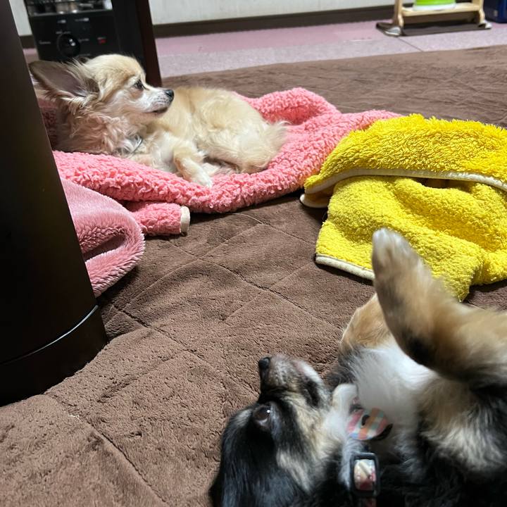 9054d112 040d 401e 888b ec2e8058c263 1747572412919