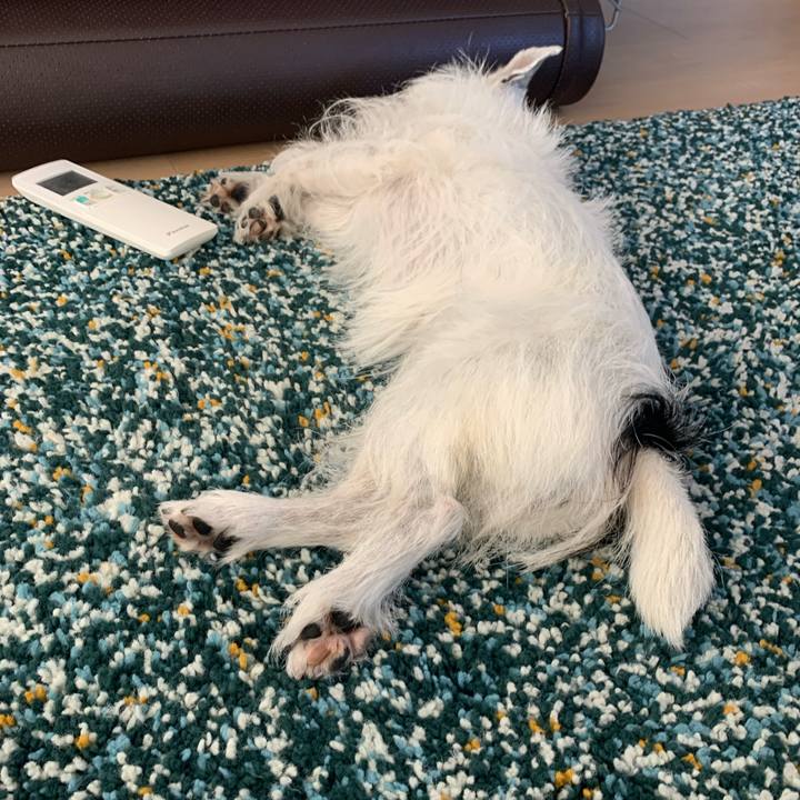 9054d6b6 e372 40de b35d 6fb970d42b9c 1690257438455