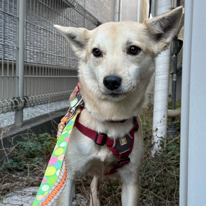 9054d851 5e67 4127 8633 f9a9268daabe 1771646468363