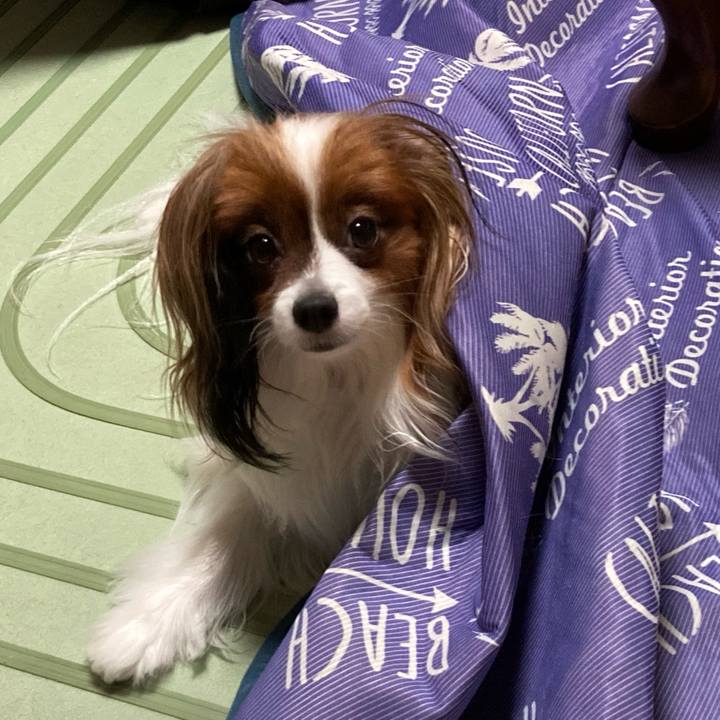 9054e968 ddf5 4cfe 91cc baa2120a9f15 1665038394296