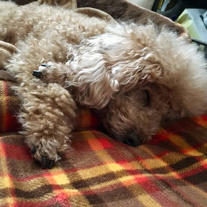 90551eec 92e8 44da 8665 62b234cbd4e8 1514595547908