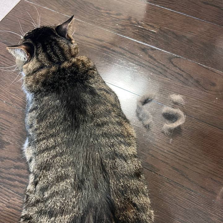 905539a2 fd4f 4570 94db ece1922f3441 1768474229463