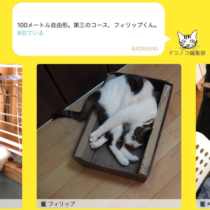 905540f1 58fe 4f32 be50 44f1501eb4f2 1561039227727