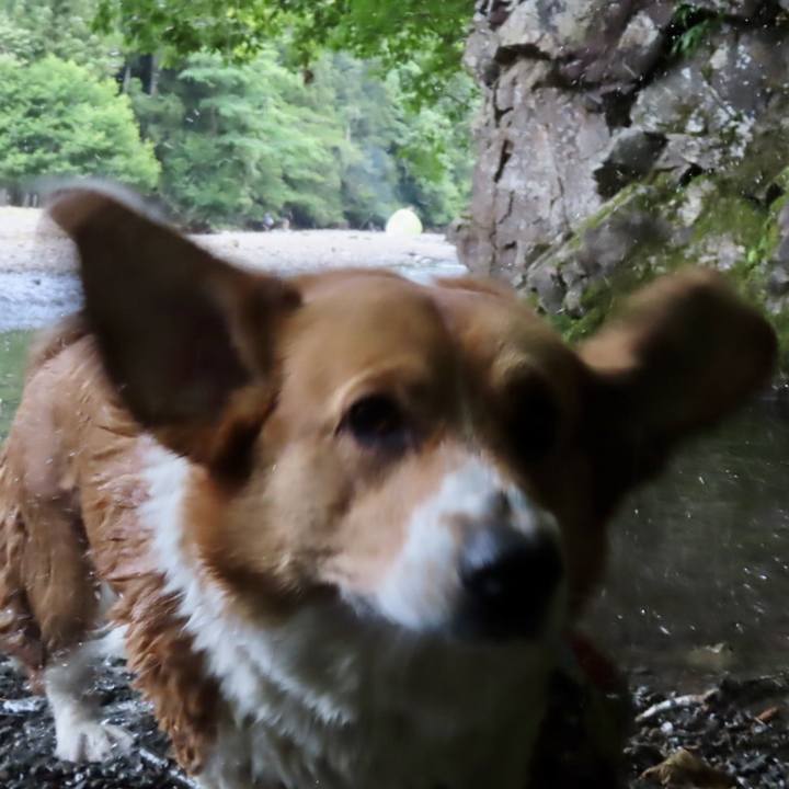 9055549f d064 42c0 8522 e72690f98701 1724467708815