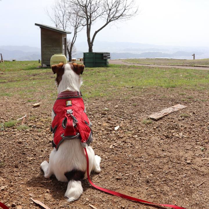 9055bc5e 3828 418b 8542 d24a8054240a 1523075718736