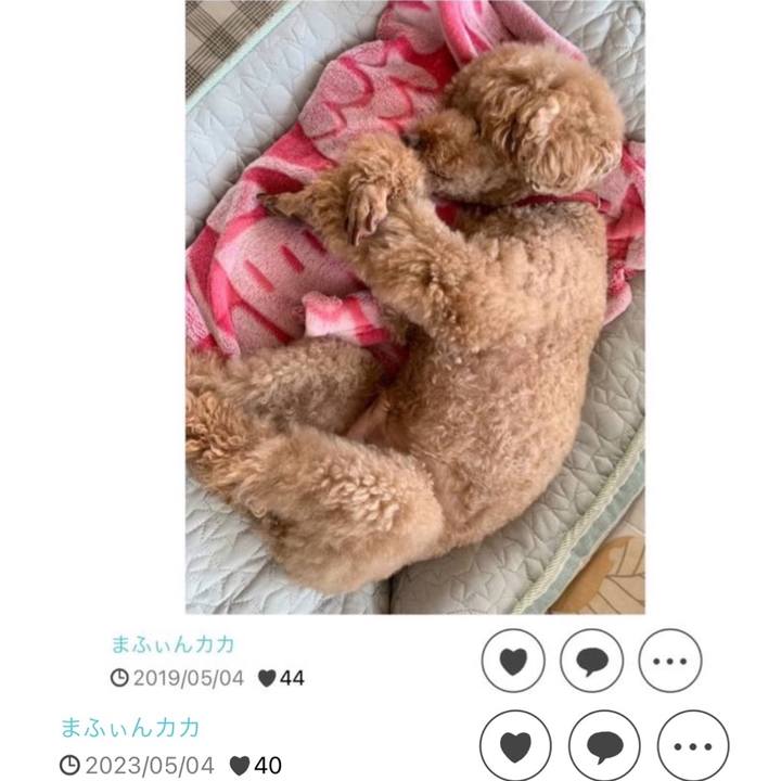 9055c56b 3d61 4aa2 b602 17f2f71c1c58 1714814108144