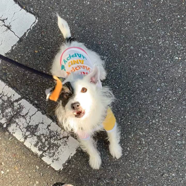 9055d58d d5fa 4dfc 899e 2b2ab34c97aa 1666744899037