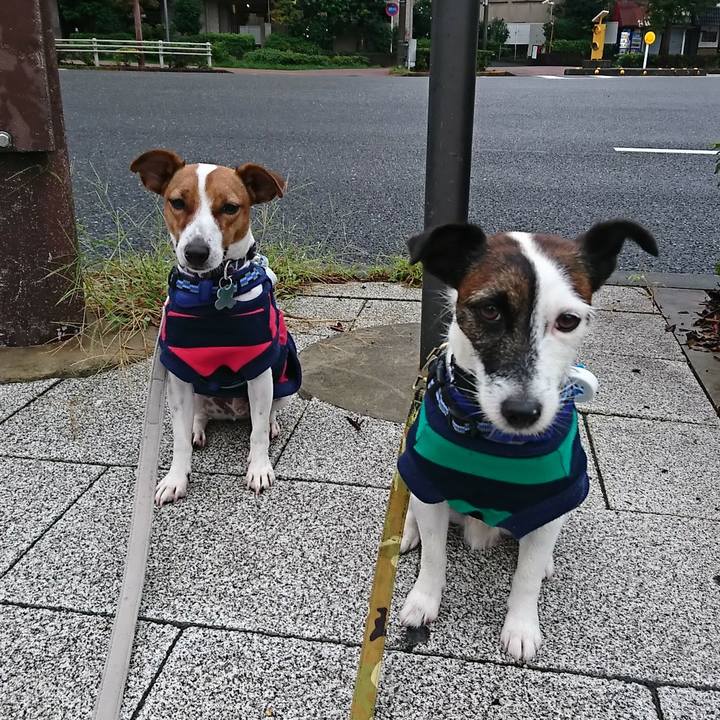 9055d9c2 1668 4203 8995 47004b10b20a 1537997874990