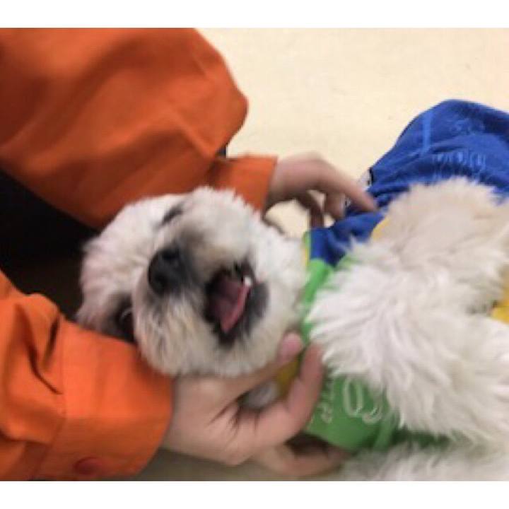 9055e316 8d92 492d 8feb f3b3e87b52a5 1519128532237