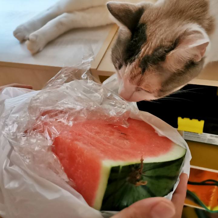 9055fa69 70e6 427b ac01 a97f767eacdd 1655956267881