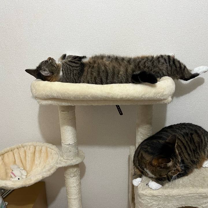 90560077 93b4 4e01 b812 06d829ffb0ca 1701956757165