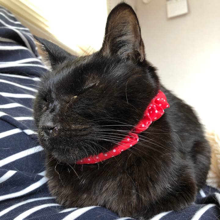 90563b00 8d5c 45f9 93a6 fe76933e962b 1556755873253