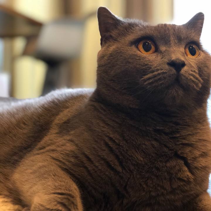 905665ca 74fb 4dac 8a5a 8958448b40e0 1511020512683