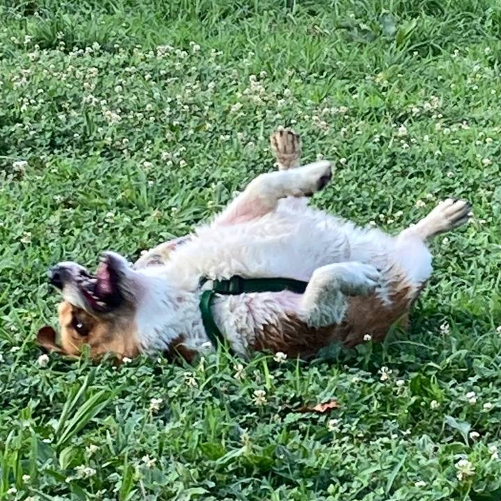 90567a75 14c5 4d98 af72 6653b96cc2dd 1722646765706