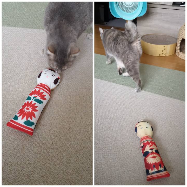 90567cd7 ca56 4d5c 83d0 d4bb6c7b5b3e 1592365372300