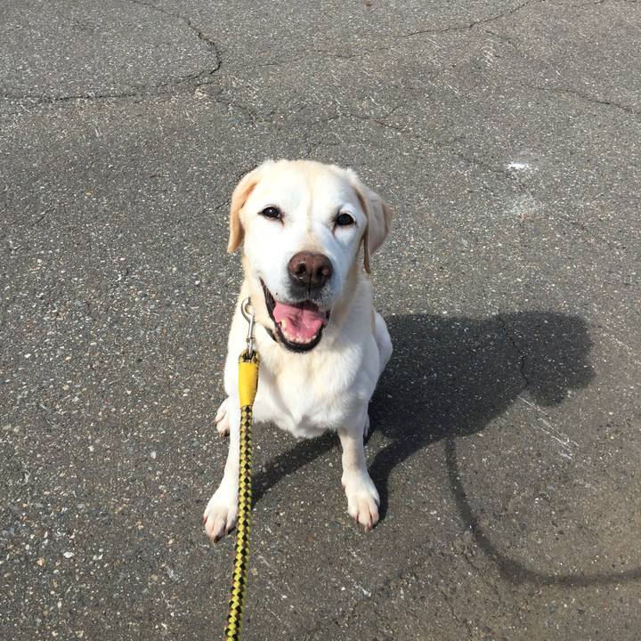 90569b1a a4f9 4a9a a9cf b529c05636a9 1540267332028