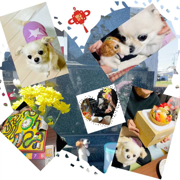 9056f4c3 4b46 47db 96ba 5aa7b9371317 1738140408265