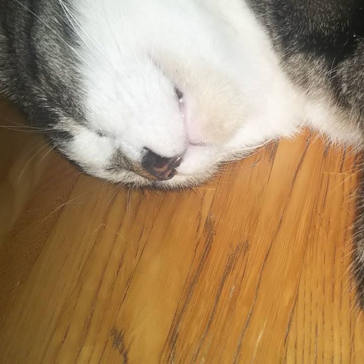 9056fe8f f124 4f90 9116 04991c4126c0 1602252294138